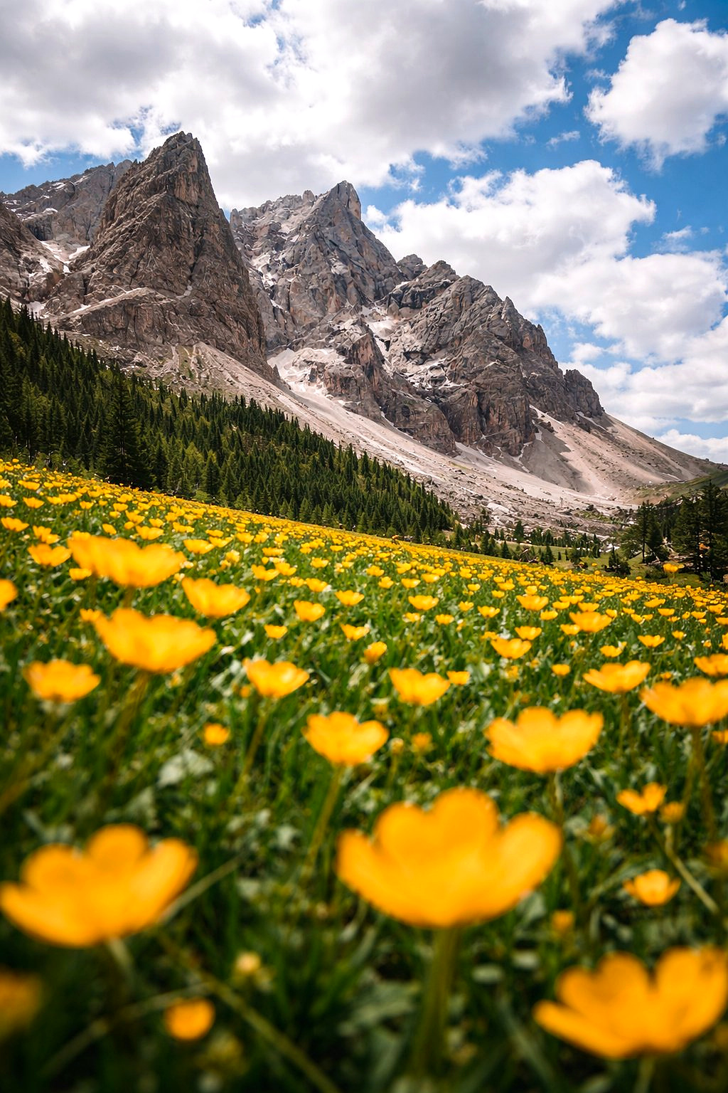 Mäestikuvaade Alpides.