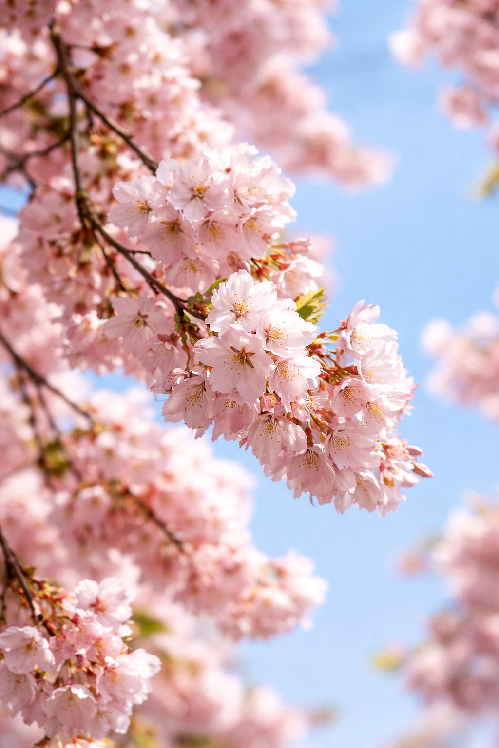 Kevadine värvigamma ja valgus.