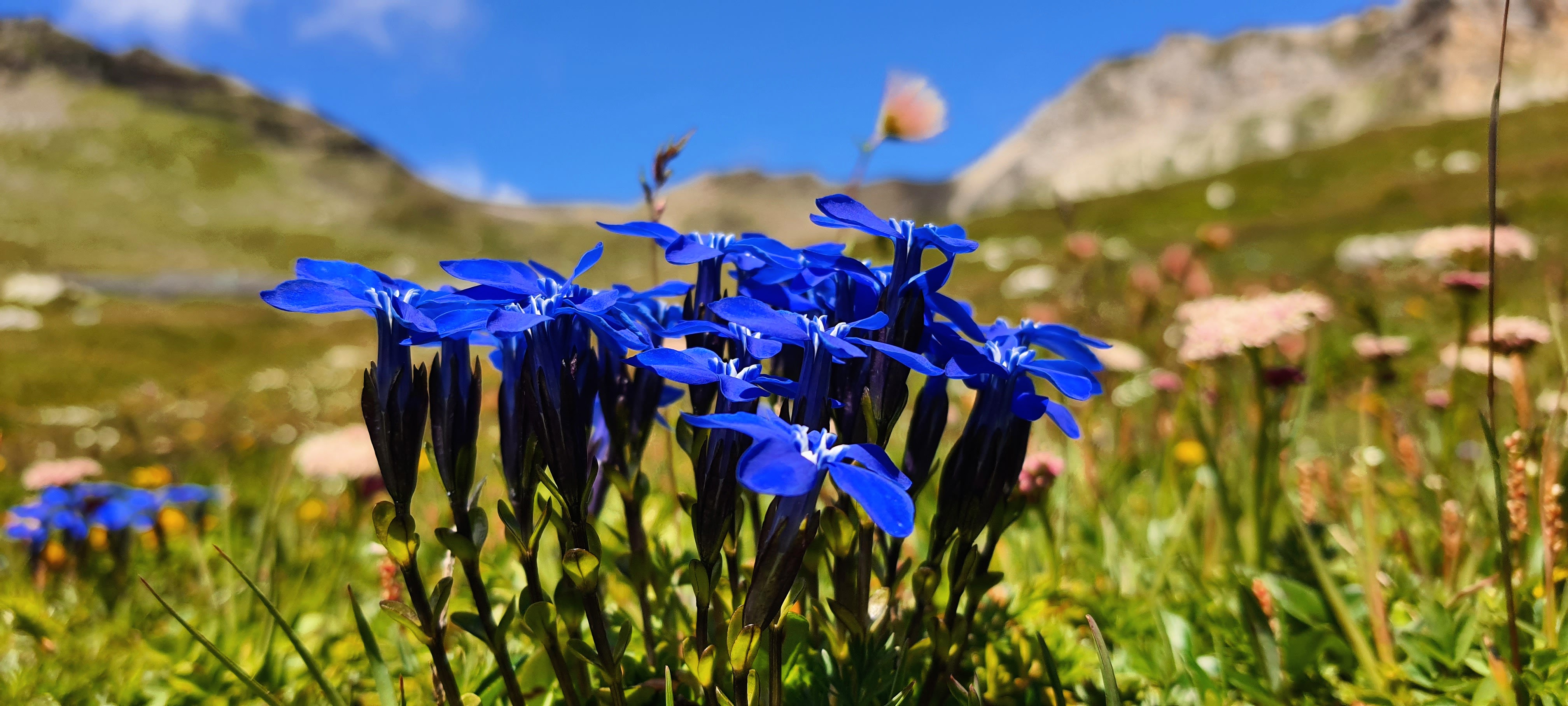 Kompositsiooniline foto &otilde;itest.